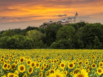 Czechia Digital Media Library  (https://media.visitczechia.com), Pardubicko - Perníkové srdce Čech - z.s.